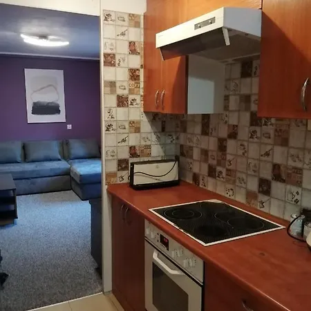 Izanton1 公寓 莱格尼察